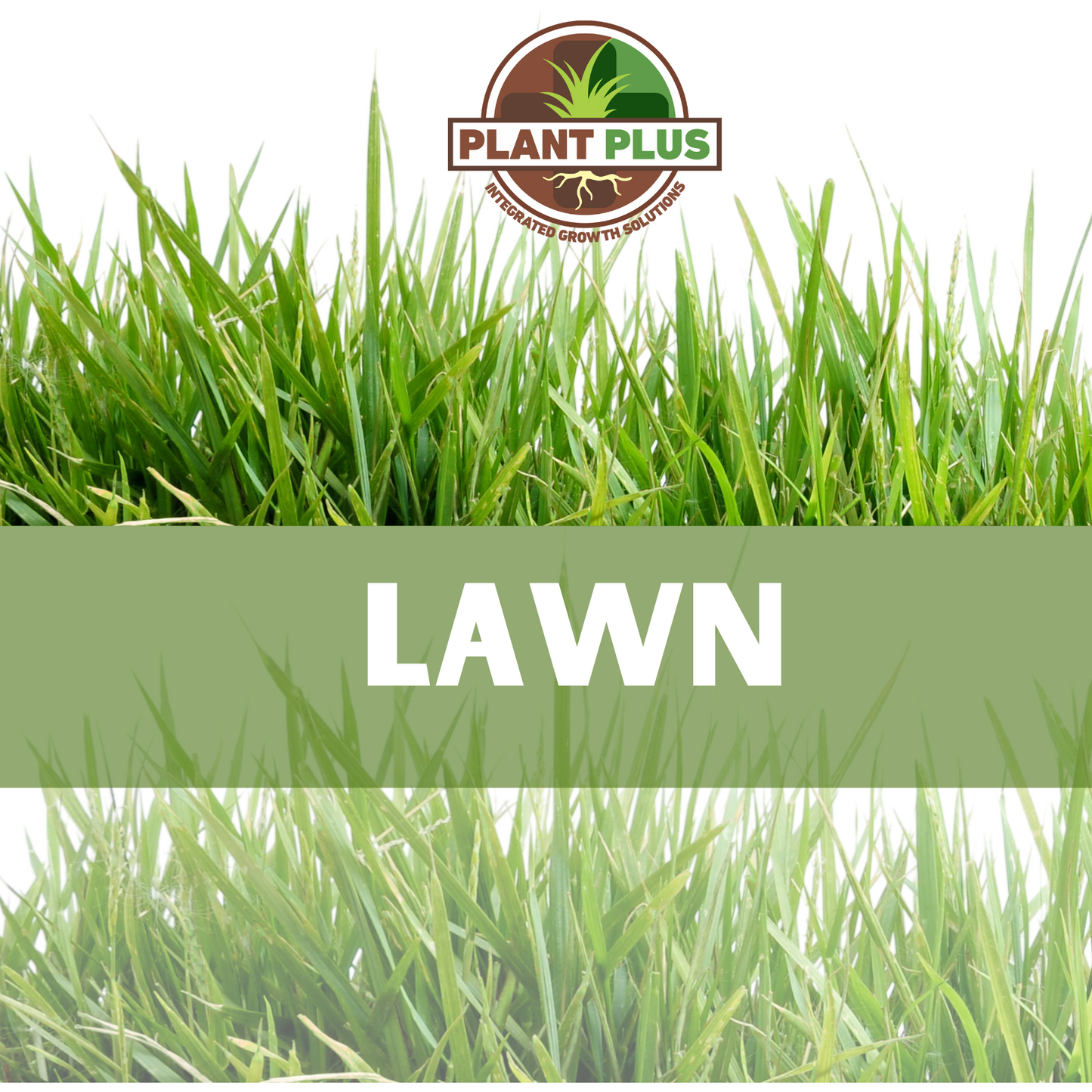 1. PlantPlus - LAWN PACK