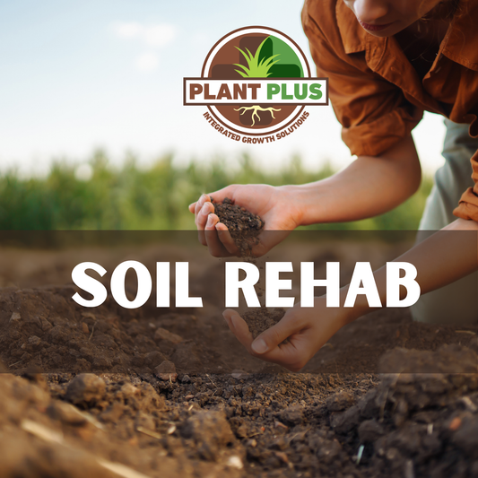 5. PlantPlus - SOIL REHAB